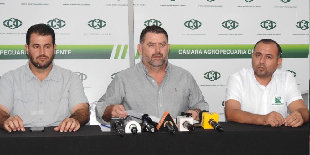 Reunión CAO Presidente sobre desabastecimiento de diésel