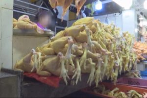 escasez de pollo en Bolivia