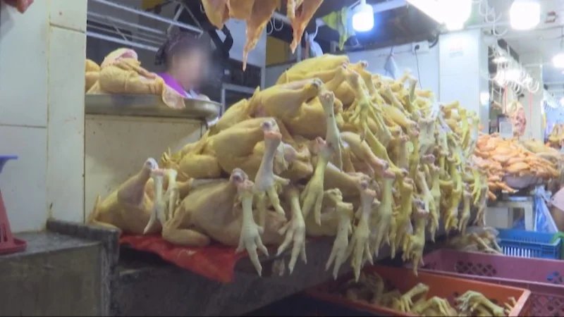 escasez de pollo en Bolivia