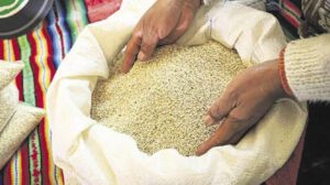Quinua de contrabando incautada en Viacha