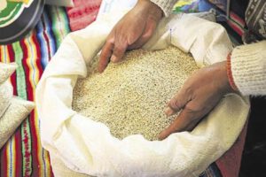 Quinua de contrabando incautada en Viacha