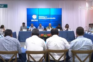 Reunión entre CAO y Luis Arce sobre desabastecimiento de combustible