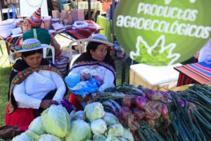 Festival Diversidad es vida promueve sabores andinos y amazónicos en La Paz