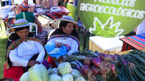 Festival Diversidad es vida promueve sabores andinos y amazónicos en La Paz