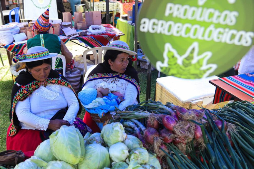 Festival Diversidad es vida promueve sabores andinos y amazónicos en La Paz