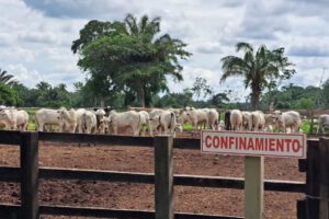 paro de carniceros en Bolivia