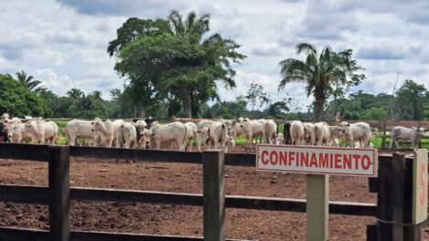 paro de carniceros en Bolivia