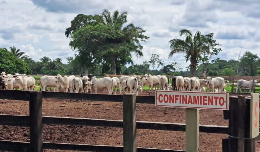 paro de carniceros en Bolivia