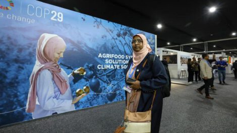 Cumbre del clima en Bakú con iniciativas globales contra el cambio climático