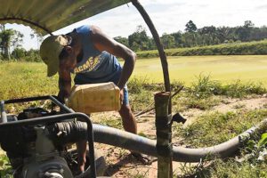 Escasez de carburante amenaza la seguridad alimentaria