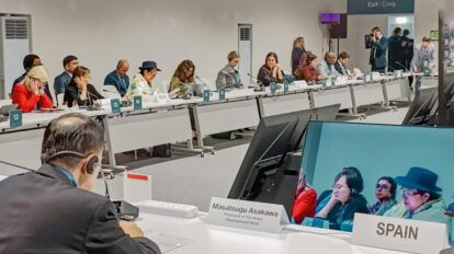 Mecanismo Conjunto Regional Amazónico propuesto por Bolivia para combatir la deforestación