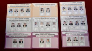 Elecciones judiciales confirmadas por el Tribunal Constitucional Plurinacional