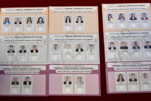 Elecciones judiciales confirmadas por el Tribunal Constitucional Plurinacional