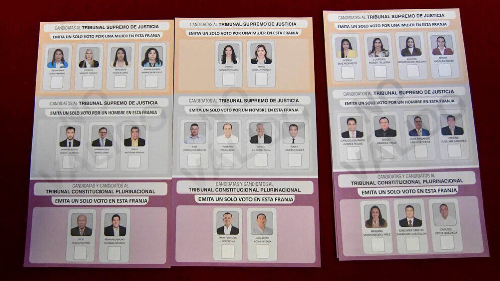 Elecciones judiciales confirmadas por el Tribunal Constitucional Plurinacional