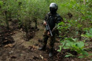 narcotráfico en Bolivia