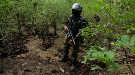 narcotráfico en Bolivia