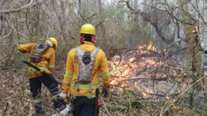Censura informativa en Bolivia sobre incendios forestales