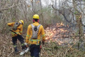 Censura informativa en Bolivia sobre incendios forestales