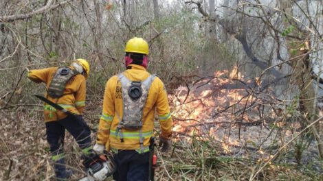 Censura informativa en Bolivia sobre incendios forestales
