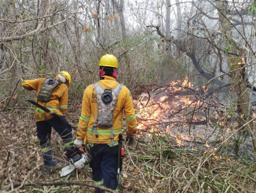 Censura informativa en Bolivia sobre incendios forestales