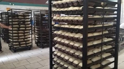 Condiciones insalubres en industria de panetones en Oruro