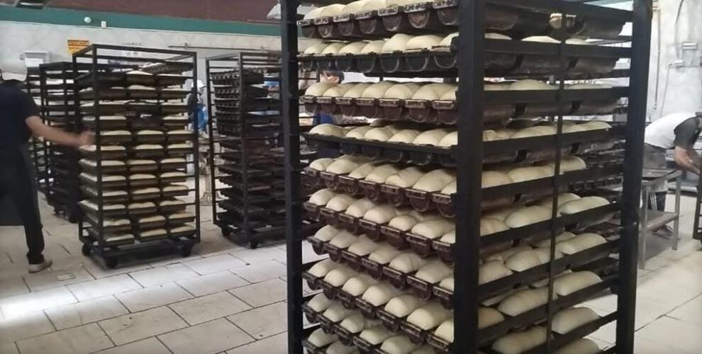 Condiciones insalubres en industria de panetones en Oruro
