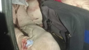 Incautación de carne porcina de contrabando valorada en más de Bs 30.000