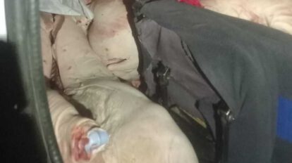 Incautación de carne porcina de contrabando valorada en más de Bs 30.000