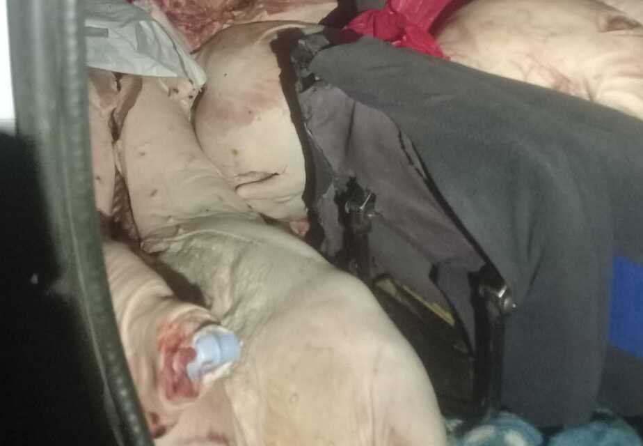 Incautación de carne porcina de contrabando valorada en más de Bs 30.000