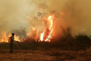 Incendios forestales en Bolivia