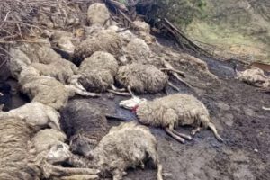 Tormentas eléctricas en Cochabamba