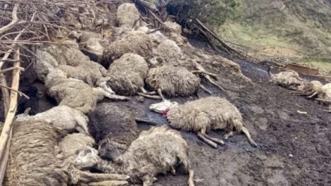 Tormentas eléctricas en Cochabamba