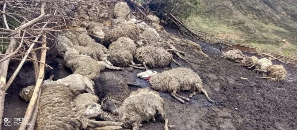 Tormentas eléctricas en Cochabamba