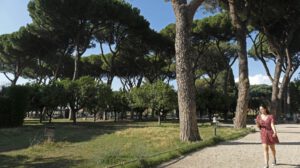 Árboles urbanos pueden reducir la temperatura en 12 °C