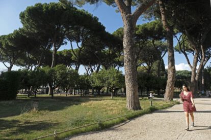 Árboles urbanos pueden reducir la temperatura en 12 °C