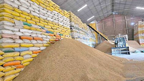 paro de arroceros en Santa Cruz