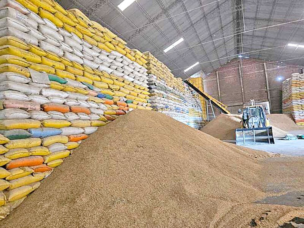 paro de arroceros en Santa Cruz