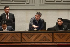 Convocatoria de sesión ALP por David Choquehuanca