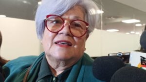 Proyecto de ley Tribunal Constitucional presentado por Silvia Salame