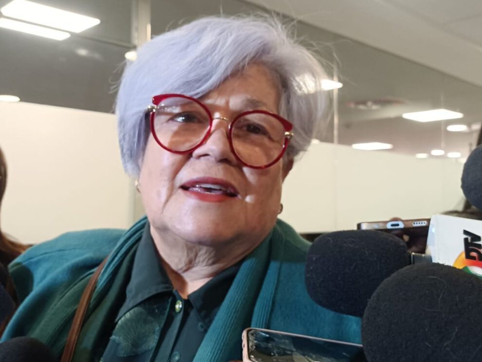 Proyecto de ley Tribunal Constitucional presentado por Silvia Salame