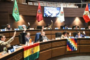 Presupuesto 2025 aprobado por el Senado