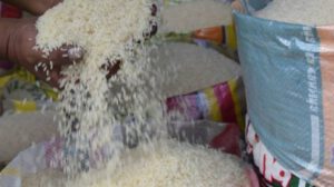 60,000 toneladas de arroz importado garantizadas por el Gobierno boliviano