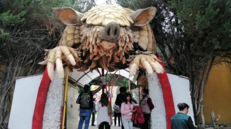 fallecimiento de la puma Cleo en el Bioparque Municipal Andino de Oruro