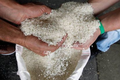 Ferias del productor al consumidor con oferta directa de arroz