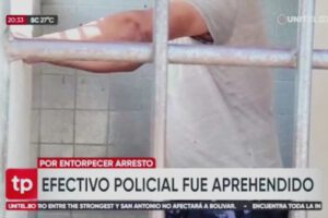 Conductor en estado de ebriedad detenido por la policía