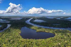 Fotografía aérea de la Alianza por la Amazonía en el Parque Nacional Anavilhanas