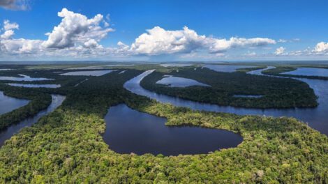 Fotografía aérea de la Alianza por la Amazonía en el Parque Nacional Anavilhanas
