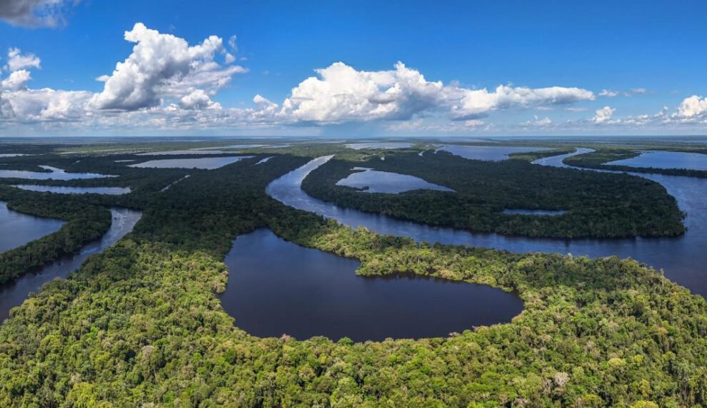Fotografía aérea de la Alianza por la Amazonía en el Parque Nacional Anavilhanas