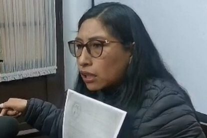 Proyecto de ley de escaños en la Cámara de Diputados