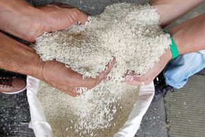 Abastecimiento de arroz garantizado hasta febrero de 2025
